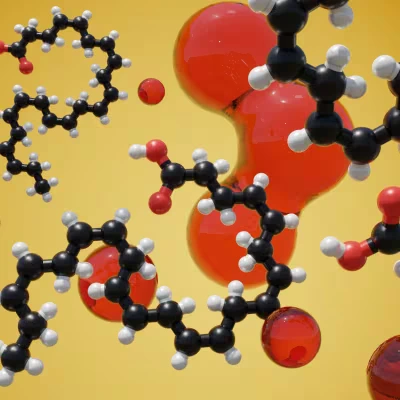 CogniSurge  Ingredient5